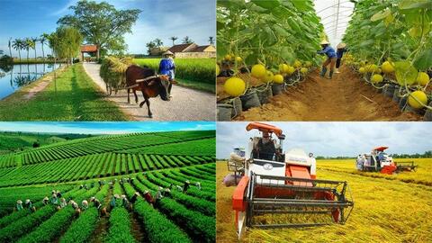 Phát triển công nghiệp gắn với nông nghiệp - tiền đề xây dựng Việt Nam thành một trong những trung tâm chế biến nông sản của thế giới